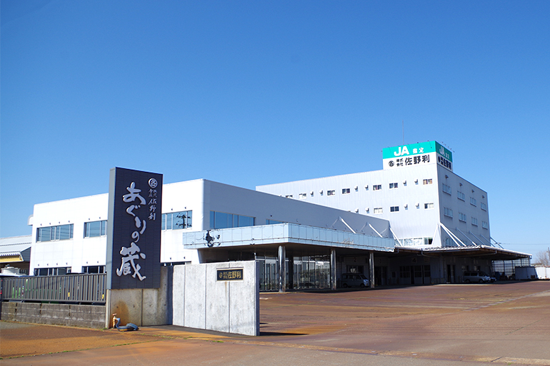 【数量限定】あぐりの蔵 吉利 大久保鋏 本職用 箱入 国産 日本製 新潟県三条製 Amazon | あぐりの蔵 吉利 大久保鋏 本職用 箱入 国産 日本製 新潟県