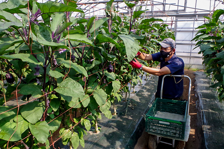 山女農園 IMG_2496.jpg?fit=1280,853&ssl=1