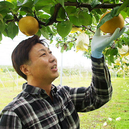 代表：野﨑陽大