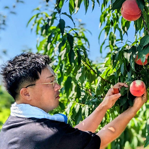 代表：伊丹芳彰