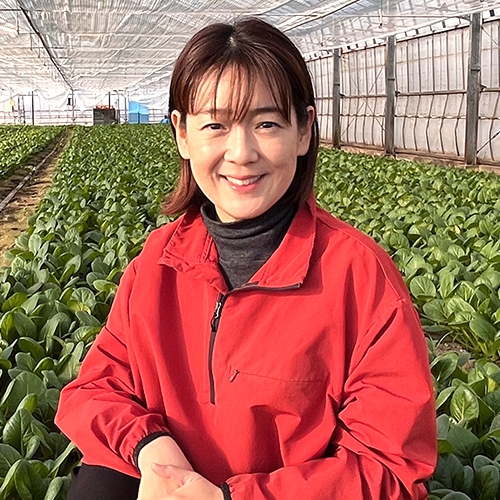 代表取締役：坂井涼子