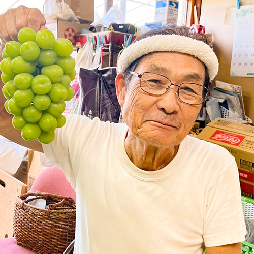 代表：小日向国彦