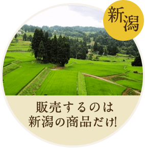 新潟直送計画 越の丸茄子 Jaひすい