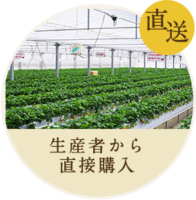 新潟直送計画 栃尾の油揚げの通販 ギフト お取り寄せ