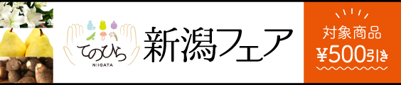 てのひら新潟フェア 新潟県産品を、皆さまのてのひらにお届け。