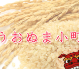 プレミアム玄米米粉 うおぬま小町の活用法