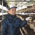 青木農園