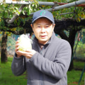 梨の宇野農園