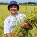 田井農園