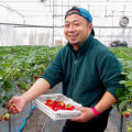 タカギ農場