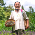 まつのやま茶倉