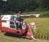 令和5年度産　新米稲刈りが始まりました。