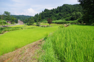 ぬながわ村農園