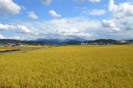 新潟サトウ農園