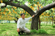 たかはし果樹園