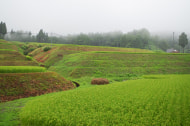 滝沢農園