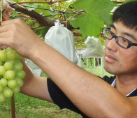 いしぐろ農園予約開始しました!