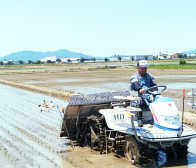 新潟特選米『味くらべ』がご好評です!!