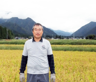 冬の御歳暮ギフトや年末年始は美味しいお米とお餅で!