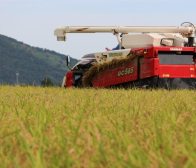 いつもたくさんのご注文ありがとうございます