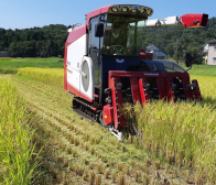 令和2年産!新米!つきあかり販売開始!