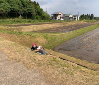 田植え作業8日目