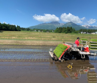 田植え無事終了しました!!