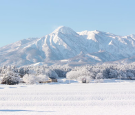本年もよろしく御願いします!