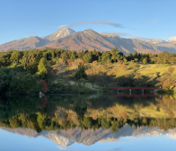 はさかけ米好評販売中