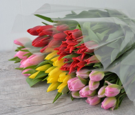 チューリップ切花販売開始してます