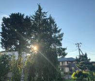 スポーツの祭典