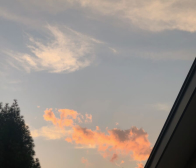 夏、真っ盛り。だけど