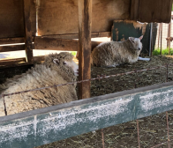 あっという間に