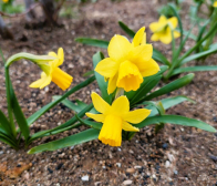 ご注文ありがとうございました!