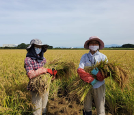 令和3年産 新米のご案内