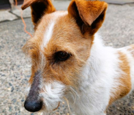 ご注文ありがとうございました!