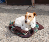 ご注文ありがとうございました!