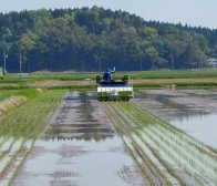 ご注文ありがとうございます!