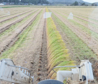ご注文ありがとうございました!