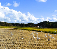 ご注文ありがとうございました!