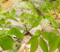 ご注文ありがとうございました!