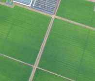 ご注文ありがとうございます!