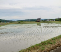 田植え作業終わりました。
