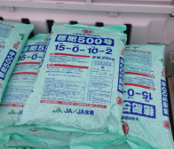 こしいぶきの穂肥作業