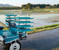 田植え始まりました