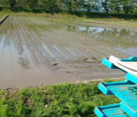 春作業完了しました