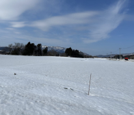 雪の下自然薯の掘り取り