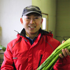 代表取締役:桜井康司