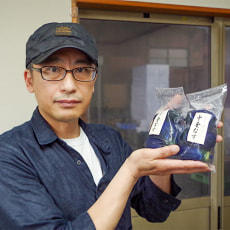 代表:野沢匡伯