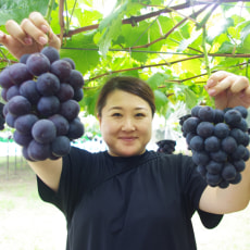 代表:小林 恵